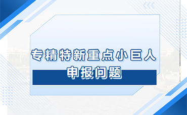 母公司、子公司、分公司的區(qū)別與聯(lián)系及“重點(diǎn)小巨人”項(xiàng)目申報(bào)中的財(cái)務(wù)數(shù)據(jù)分類與規(guī)劃-浙江科林企業(yè)管理咨詢有限公司